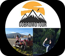 Go Bromo logo